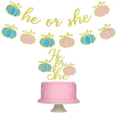 China Card HAWIN Him or Her Gender Reveal Glitter Banner Pumpkin Party Decor Pumpkin Baby Shower Supplies for sale