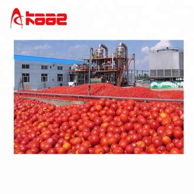 China Stainless Steel Tomato Processing Machine / Tomato Sauce Production Line for sale