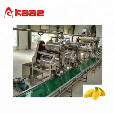 China High-production stainless steel fruit/mango pulp/puree processing line for sale