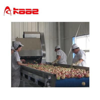 China Full set stainless steel apricot /mango/peach/passionflower passion fruit/apple pulp production line for sale