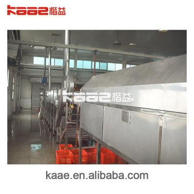 China Professional High Quality Canned Food Factory Food Processing Line for sale