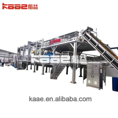 China Kaae Brand Factory Fully Automatic High Output NFC Orange Juice Processing Line for sale