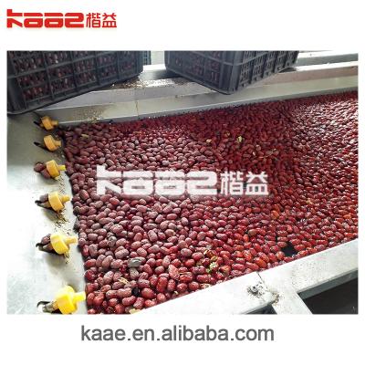 China Professional Labor Saving Maker Of Date Concentrated Clear Juice And Pulp Processing Line for sale