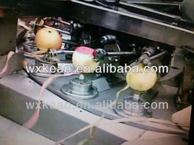 China Automatic stainless steel apple peeling and slicing machine in china for sale