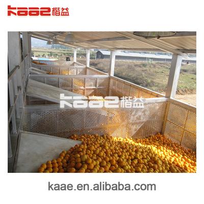 China Storage raw material collection and storage used for fruit storage in production line for sale