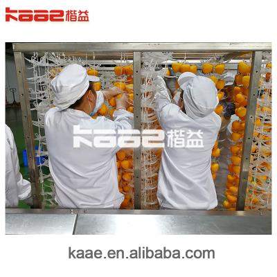 China Professional high efficiency manufacturer High Intelligence Food drying room by Kean, china for sale