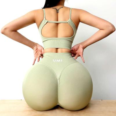 China QUICK DRY Running Suite Yoga Pants Fitness Yoga Pants Suit Shockproof Suite for sale