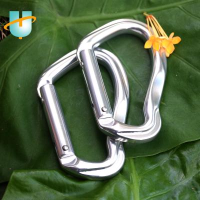 China Custom Logo 23KN G-Shape Rust Wear Resistant Durable Rock / Single Solid Aluminum Door Carabiner Hook Mountaineering Lock for sale