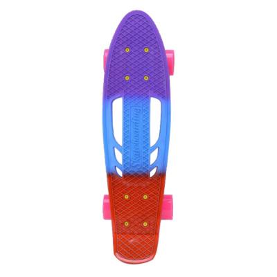 China Youth Fish Board Portable Plastic Longboard Skateboards With Smooth PU Wheels for sale