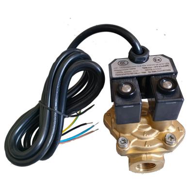 China Encapsulated Solenoid Flow Control Valve For LPG Fuel Dispenser for sale