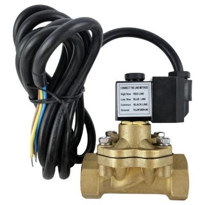 China Válvula de solenoide automática para el dispensador de GLP, bomba de combustible de 12 V, válvula de solenoide de gasolina en venta