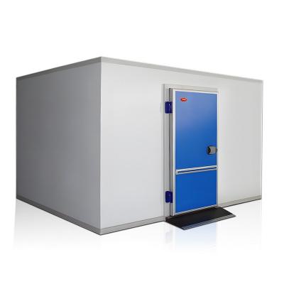 China Small Container Container Walk In Freezer Unit Cold Room Commercial Refrigeration Cold Storage For Fish Meat Vegetables for sale