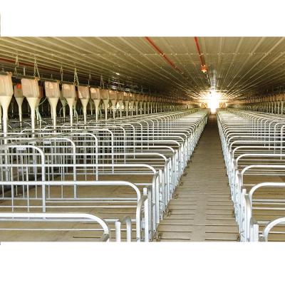 China Steel Workshop / Pigsty / Pig House Low Cost Steel Structure Pig Breeding Shed for sale