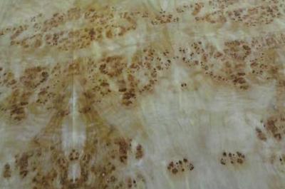 China Mappa Burl Holz Veneer Länge 0,5m-2m / 2cm-2,44m/ 2,45m-3,6m zu verkaufen