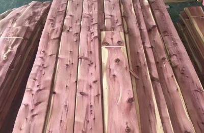 China Aromatic Red Cedar Natural Wood Veneer Thickness 50C For Furniture Wardrobes for sale