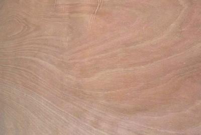 Cina 0.1-0.5 mm Veneer Okoume Legno Veneer rotativo pelato 1270 mm * 2500 mm in vendita