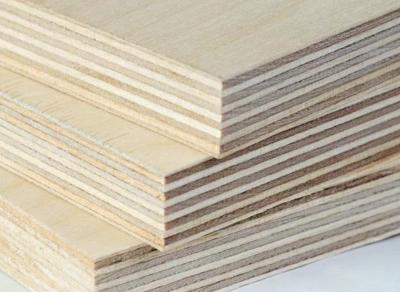 China Good Flatness Good Internal Quality Wood Ply Plywood Multilayer Plywood for sale