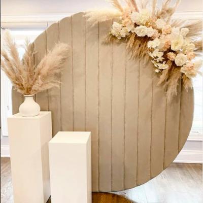 China Wedding Party Event Decoration Wholesale Tan Velvet Round Wedding Panel Circle Backdrop for sale