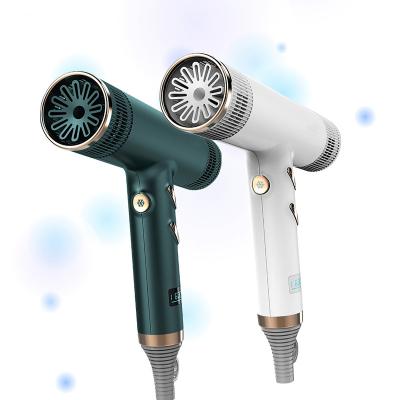 China Other Professional 2022 Anion Blow Dryer Salon Hair Styling Quick Dry Electric Home Portable Hair Dryer Blow Dryer Diffuser for sale