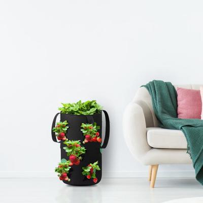 China Polyester Felt Strawberry Grow Bag Vertical Garden Pot Smell Fabric Pot Sky Garden Growing Bag With Visualized Pocket for sale