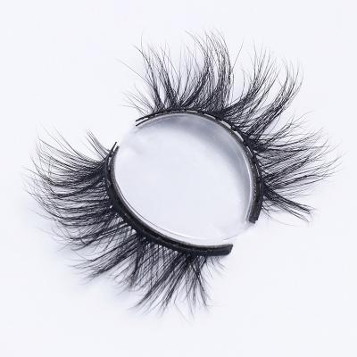 China Factory 12 Circle Magnets Bristles Eco Friendly Round Eyelash Eco Friendly Round Biodegradable Magnetic Eco Friendly Lashes for sale