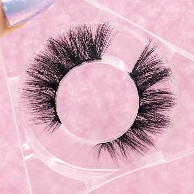 China Easy Use World's First Peel Friendly Wholesale Lash Clear Band Collagen Bionic Eyelashes Extensions Private Label Super Natural Lashes for sale