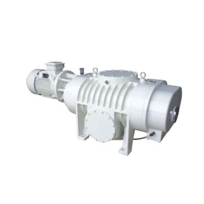 China Food and Beverage Industry Rotary Root Blower Roots Vacuum Pump for sale