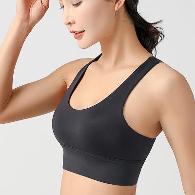 China New design yoga special QUICK DRY seamless mature women's sexy lingerie sports bra tightly for sale