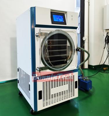 Κίνα Food Fruit Vegetable Small Mini Lab Liofilizador Freeze Drying Machine Price Home Vacuum Freeze Dryer Lyophilizer προς πώληση