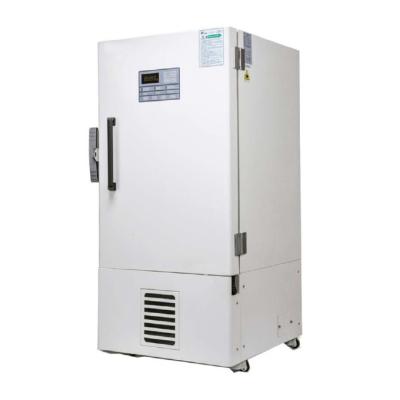 China AC240V 60Hz Ultra Low Temperature Freezer Vertical Minus 40 Vaccine Fridge for sale