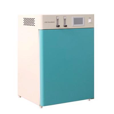 China Microbiology Laboratory Incubators Air Jacketed Water Jacketed Biological Incubator for sale