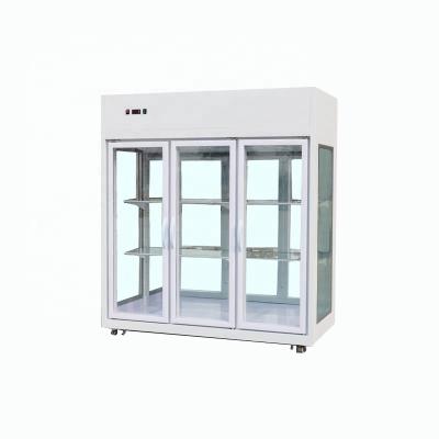 China Single-temperature Morden style shop refrigeration equipment showcase display flower fridge refrigerators for flowers for sale