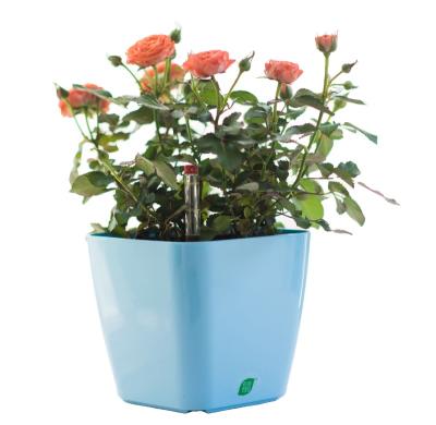 China similar as Lechuza planter Plastic pot for sale