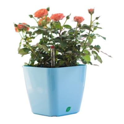 China Mini Size Home Decoration Square PP Flowers Pot for sale