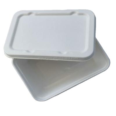 China Bagasse Eco-Friendly Tableware Rectangular Pulp Sugarcane Container For Food Packing for sale