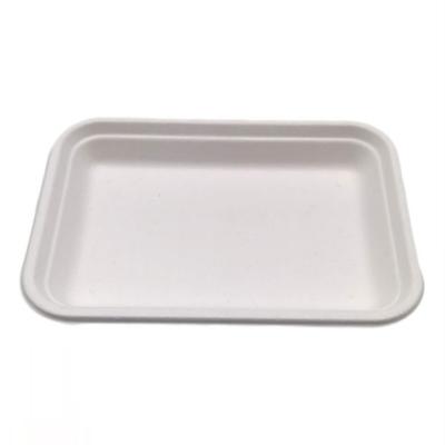 China Large Rect Eco-Friendly Compostable Biodegradable Water Oil Proof Meat Chipy Cake Sugar Cane Bagasse Paper Pulp Food Tray for sale