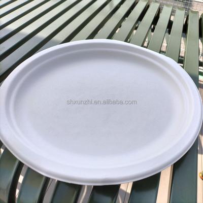 China 15%off Promotion Eco-Friendly Biodegradable Sugar Cane Round Size Compostable Sugar Cane Bagasse Dish 7 for sale