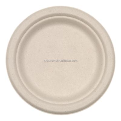 China Eco Friendly Wholesale Customized Inch Round Disposable 9 Paper Dinner Dishes Tableware Set for sale