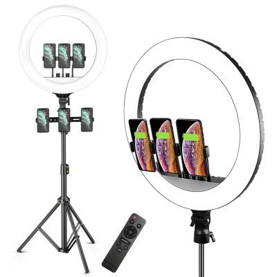 China ABS+PC Amazon 18 Inch Tripod Stand 45cm Makeup Ring Fill Light/RL18 Tik Tok Beauty Selfie Phone LED Ring Light for sale