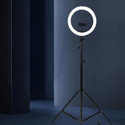 China 3 Colors Adjustable 20% Off Wholesale Price 10 Inch 26cm Selfie Ring Light Lamp Makeup Live Video Led Ringlight Beauty Make Up for sale