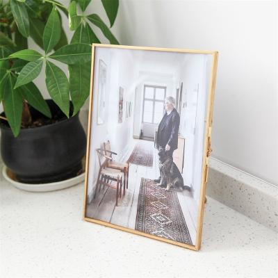 China Maxery Metal V-Bracket Metal Picture Frame Herbarium Frame Design Nordic Style Photo Frame for sale