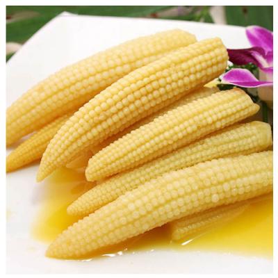 China Canned Sweet Baby Corn Cut Into Items With High Nutrition for sale