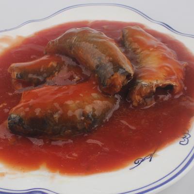 China 425g canned canned sardine in tomato sauce for sale