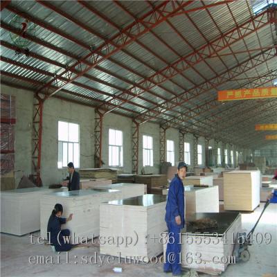 China Indoor Specrite 2400 X 1200mm 17mm Film Faced Plywood for sale