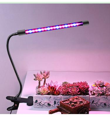 China Plant Growing Horticulture 10W/20/30/40W Grow Light LED Grow Light Frame Indoor Plant Light for sale