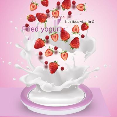 China Family Yogurt Maker Fried Yogurt Machine Mini Fried Ice Cream Maker Stainless Steel Home Gifts New for sale