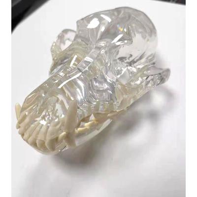 China Large gifts dog skull transparent three-dimensional pattern for sale