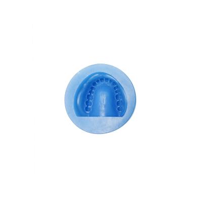 China Oral Teaching Diseases Model 32 Teeth Silicone Mold for sale