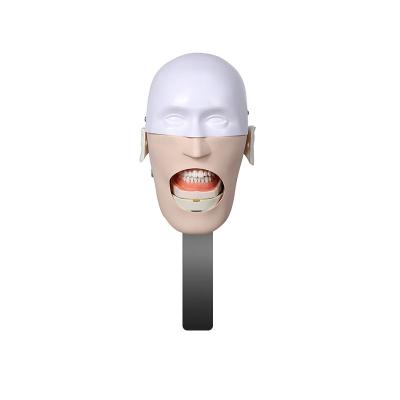 China Simulation head for oral teaching training insert head of dental chair for sale