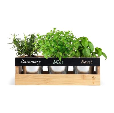 China Modern Farmhouse Kitchen Window Planter Box - Succulent, Flower and Herb Garden - Indoor and Outdoor - Includes Rectangle Bamboo Wood Plant for sale